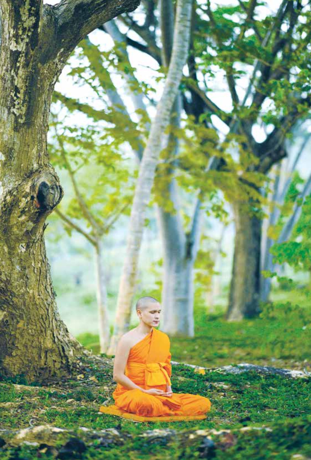 null สิ่งที่ต้องแสวงหา คือ พระรัตนตรัยภายใน เล่ม 2  หน้า 95