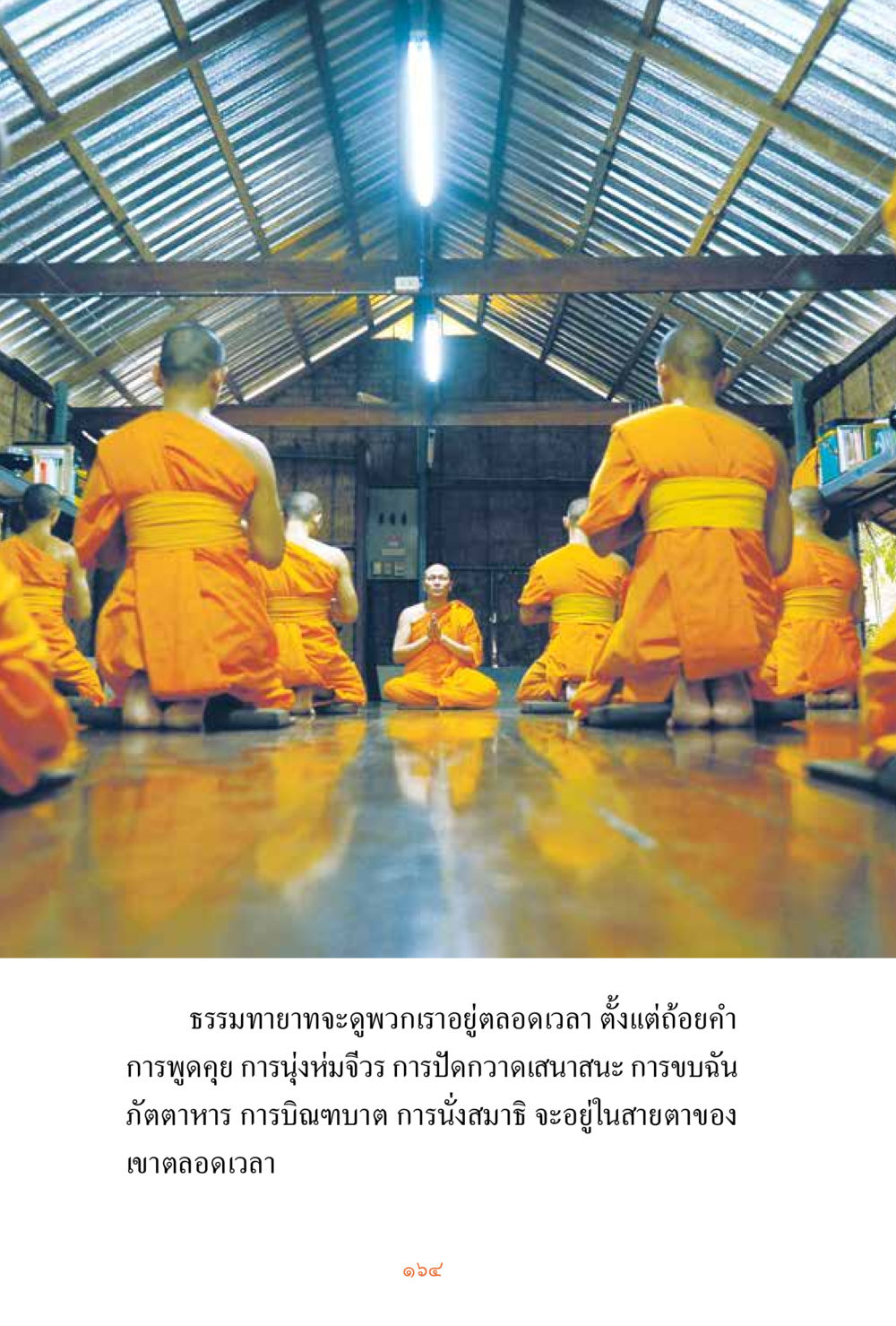 null ชีวิตสมณะ ผู้เห็นภัยในวัฏสงสาร เล่ม 3 หน้า 165