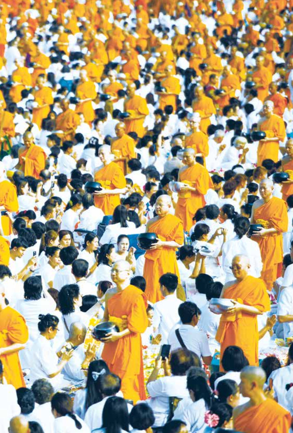 null ชีวิตสมณะ ผู้เห็นภัยในวัฏสงสาร เล่ม 3 หน้า 229