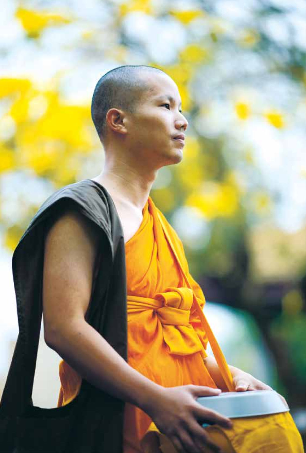 null ชีวิตสมณะ ผู้เห็นภัยในวัฏสงสาร เล่ม 3 หน้า 31