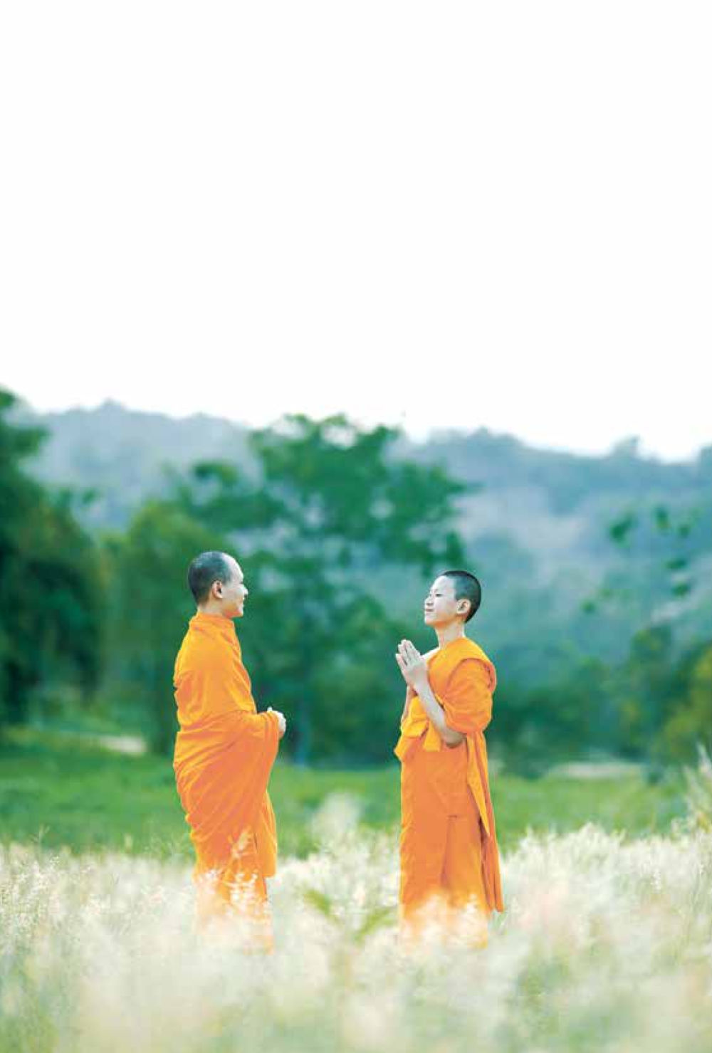 null ชีวิตสมณะ ผู้เห็นภัยในวัฏสงสาร เล่ม 3 หน้า 39