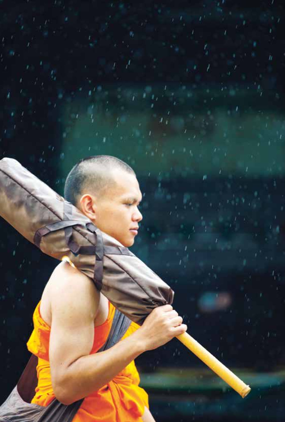 null ชีวิตสมณะ ผู้เห็นภัยในวัฏสงสาร เล่ม 3 หน้า 49