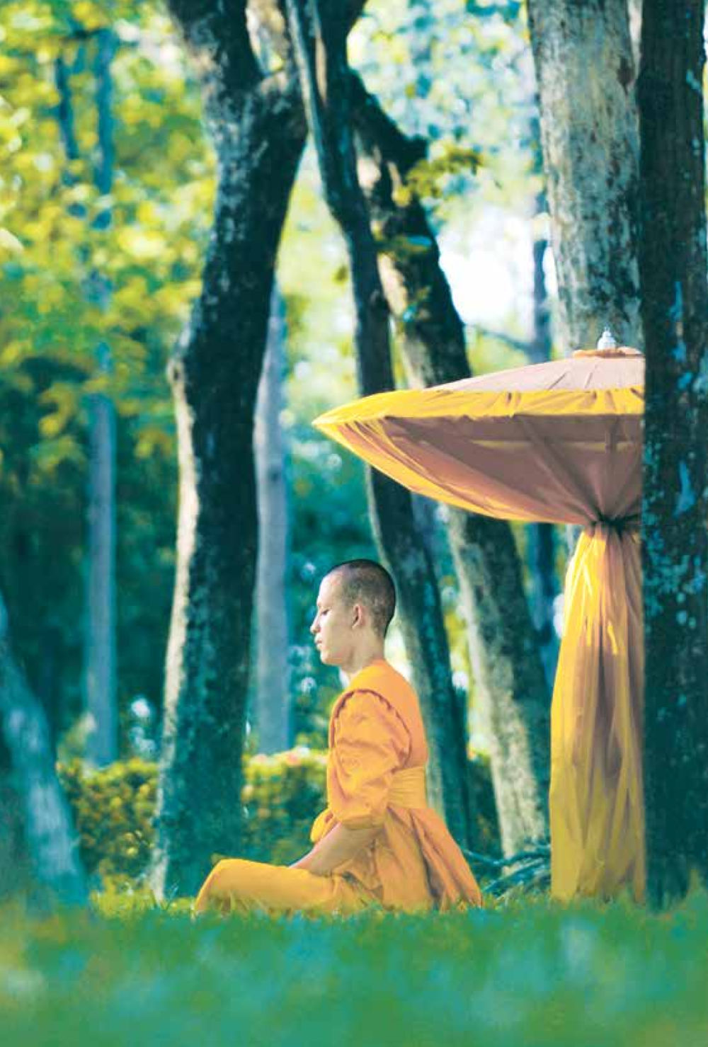 null ชีวิตสมณะ ผู้เห็นภัยในวัฏสงสาร เล่ม 3 หน้า 89