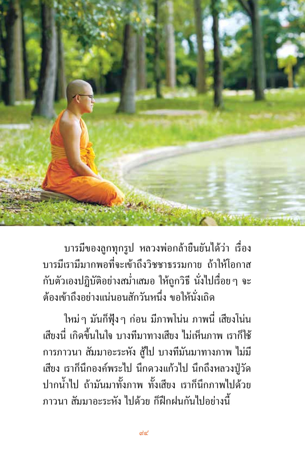 การเข้าถึงวิถีธรรมกาย ชีวิตสมณะ ผู้เห็นภัยในวัฏสงสาร เล่ม 3 หน้า 95