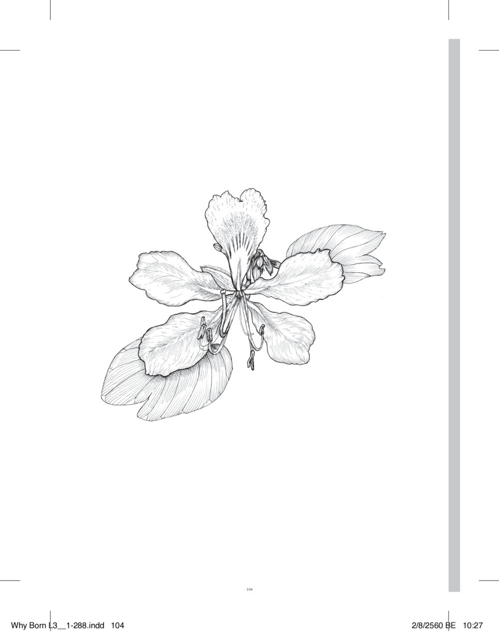 null สร้างบารมี (คำมินิ) เล่ม 3  หน้า 105