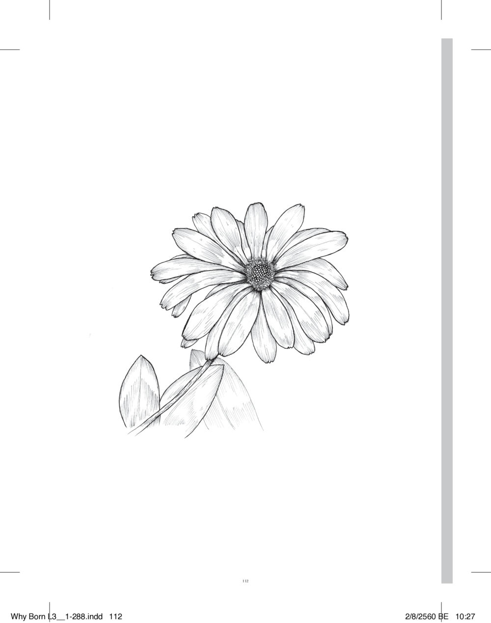 null สร้างบารมี (คำมินิ) เล่ม 3  หน้า 113