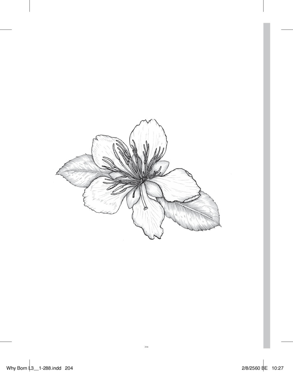 null สร้างบารมี (คำมินิ) เล่ม 3  หน้า 205