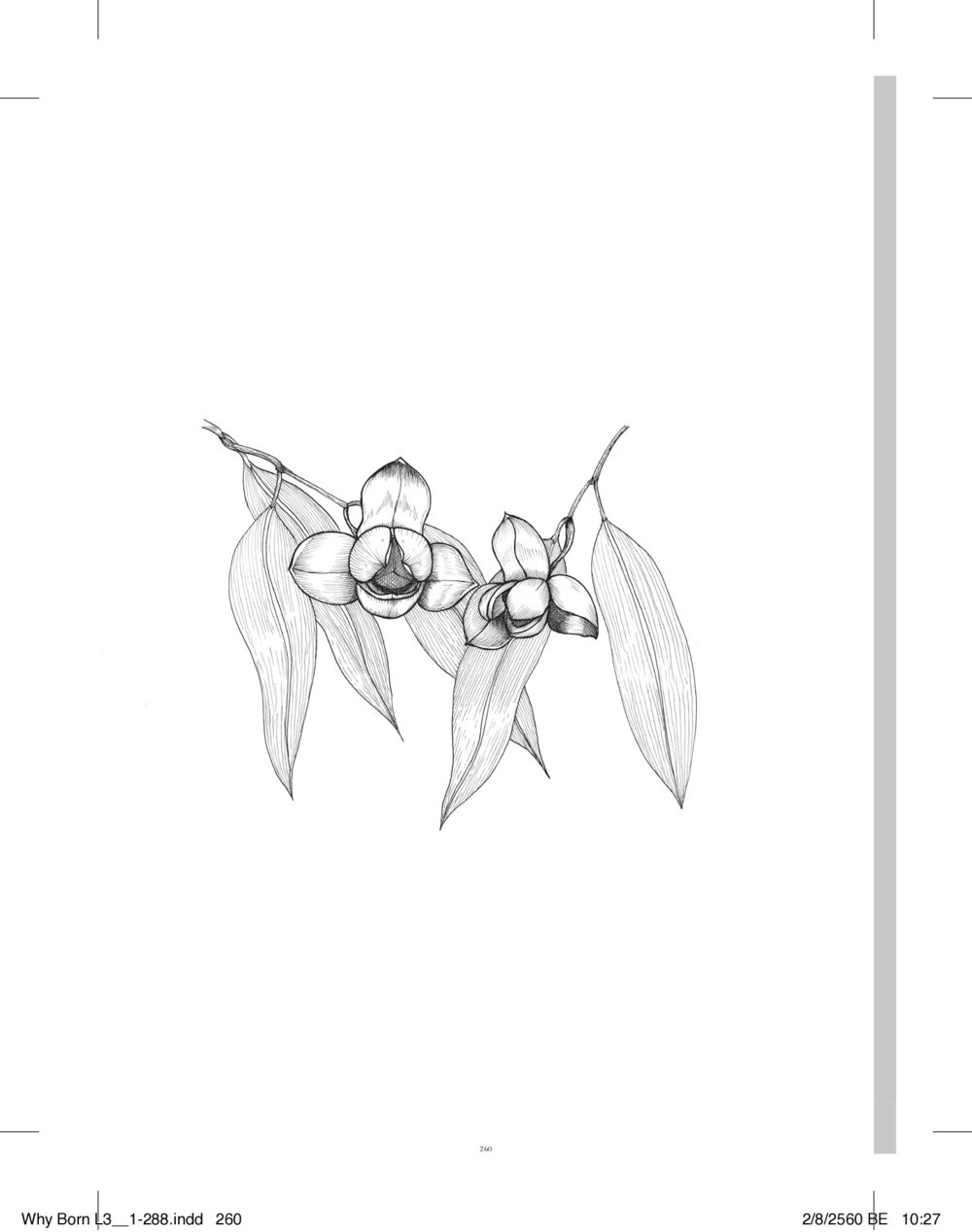null สร้างบารมี (คำมินิ) เล่ม 3  หน้า 261