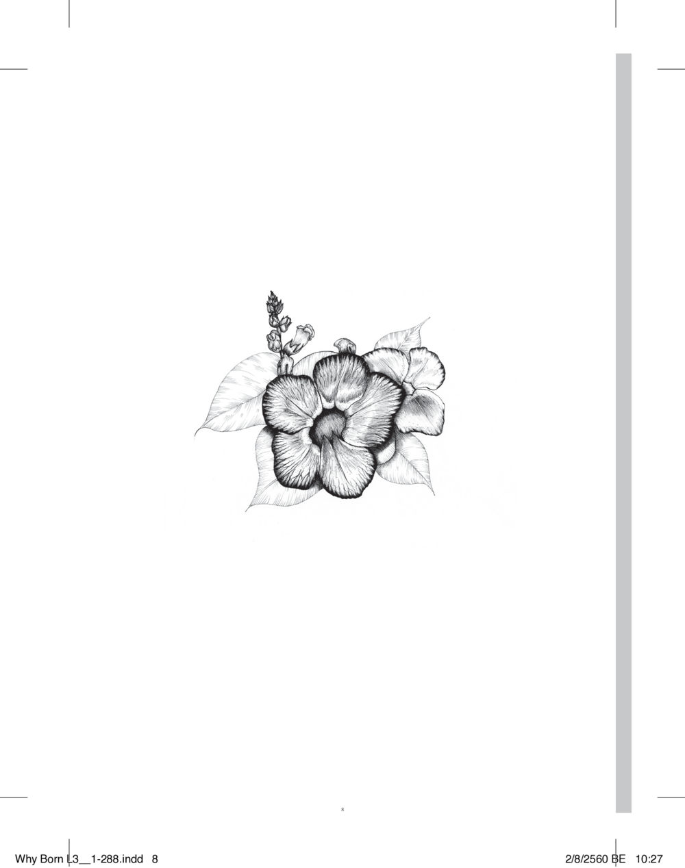 null สร้างบารมี (คำมินิ) เล่ม 3  หน้า 9