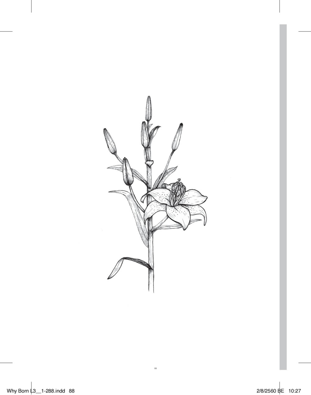null สร้างบารมี (คำมินิ) เล่ม 3  หน้า 89