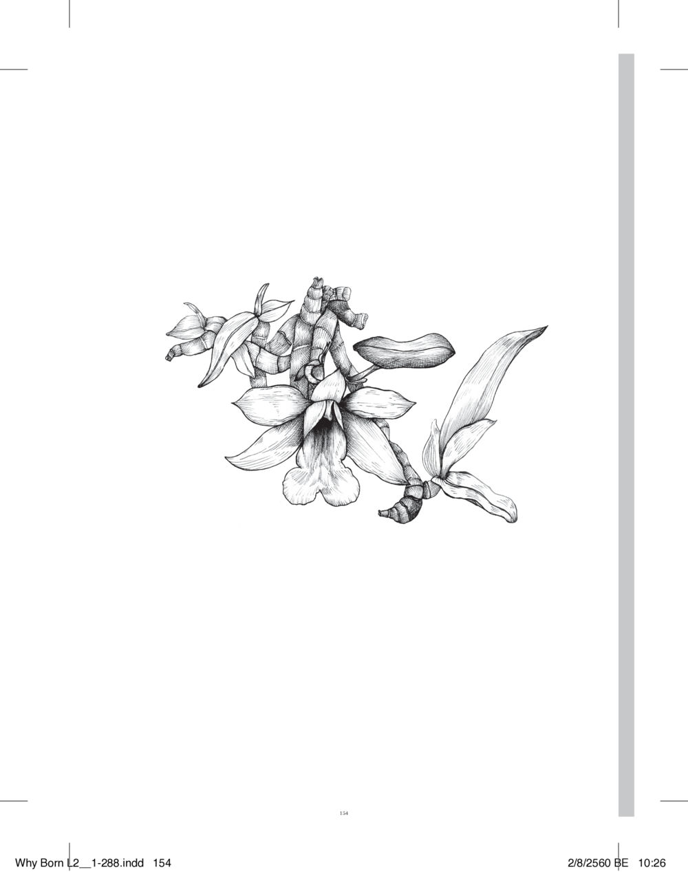 null แสวงบุญ (คำมินิ) เล่ม 2 หน้า 155