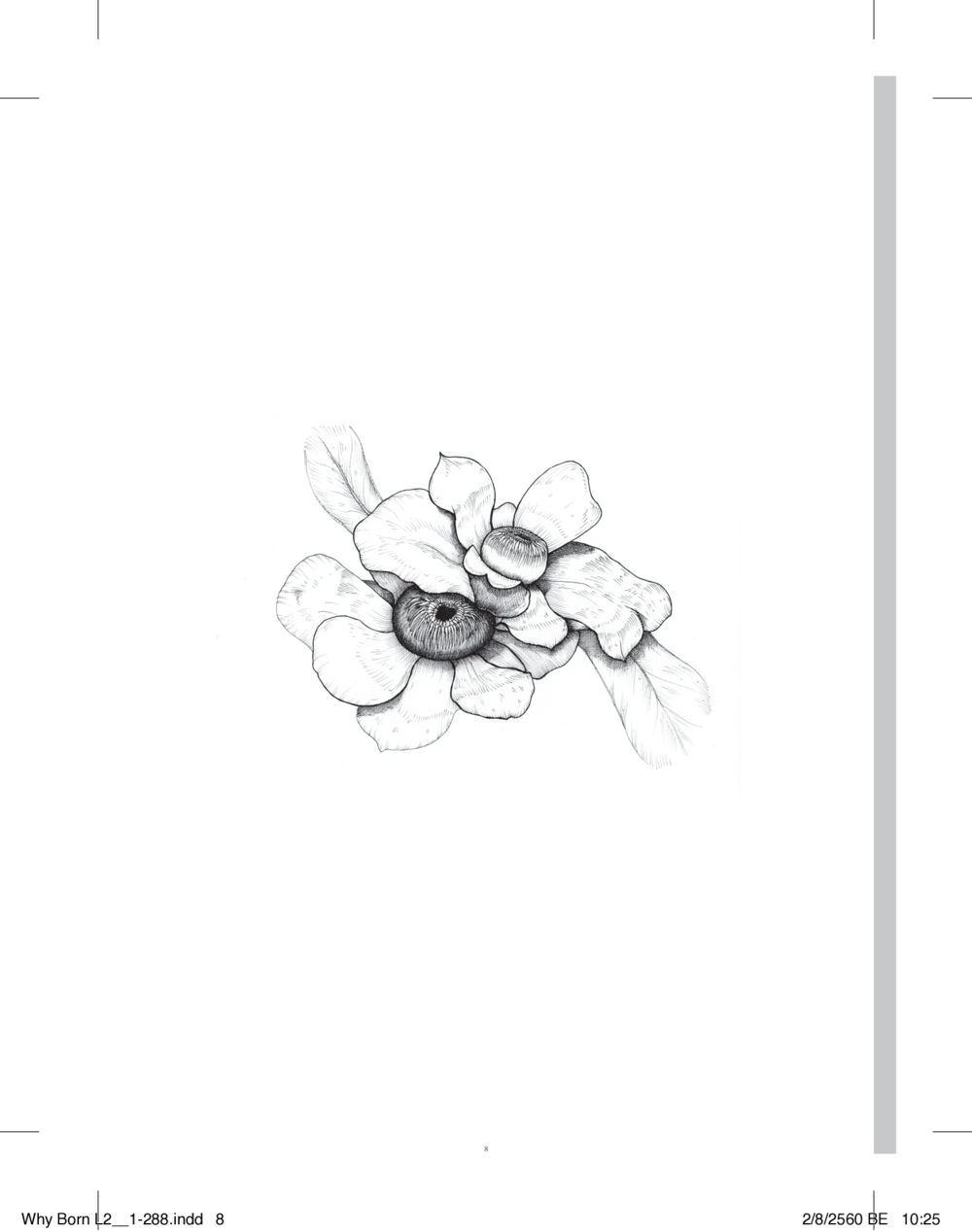 null แสวงบุญ (คำมินิ) เล่ม 2 หน้า 9