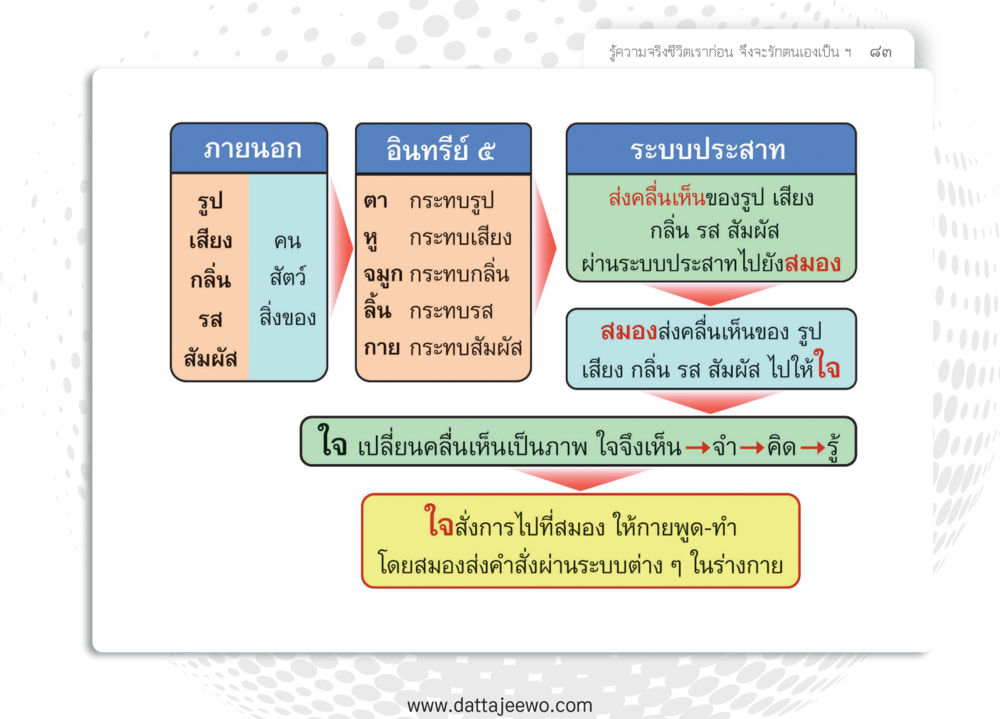 null หยุดโลก หยุดวุ่นวาย หยุดได้ด้วยสติ หน้า 85