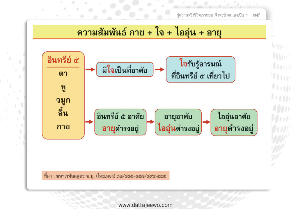 null หยุดโลก หยุดวุ่นวาย หยุดได้ด้วยสติ หน้า 87