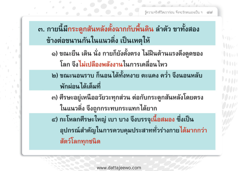 null หยุดโลก หยุดวุ่นวาย หยุดได้ด้วยสติ หน้า 89