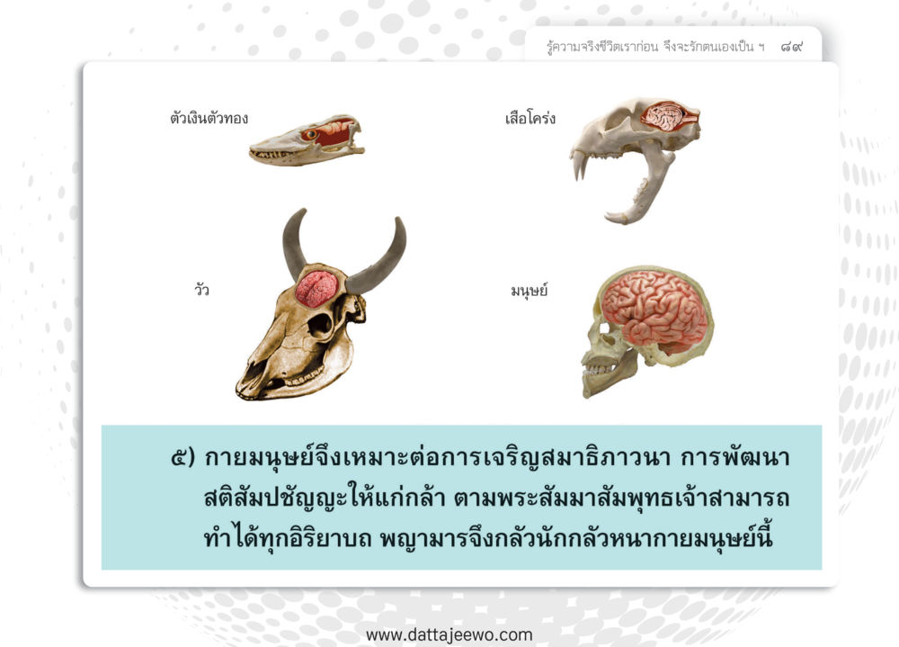 null หยุดโลก หยุดวุ่นวาย หยุดได้ด้วยสติ หน้า 91