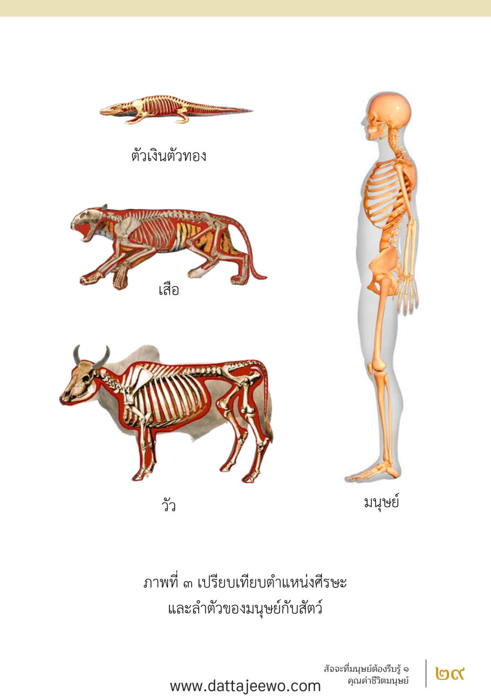 null สัจจะต่อความดี อานุภาพพลิกโลก หน้า 29