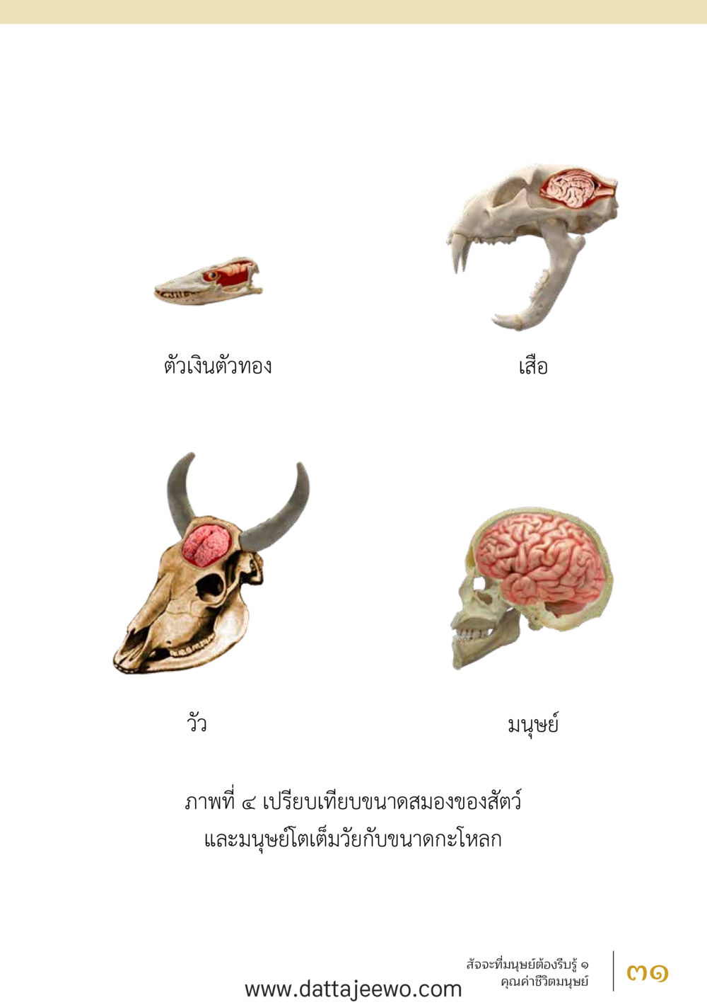 null สัจจะต่อความดี อานุภาพพลิกโลก หน้า 31