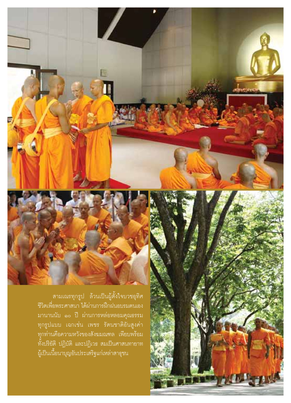 null วารสารอยู่ในบุญ ประจำเดือน มิถุนายน พ.ศ.2549 หน้า 9
