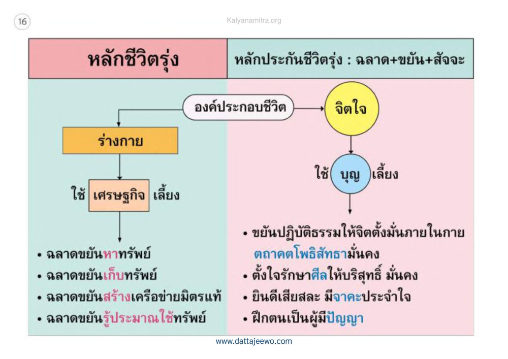 null เหตุแห่งชีวิตรุ่ง ทางมาหน้าที่พลเมืองมิตรแท้ หน้า 17