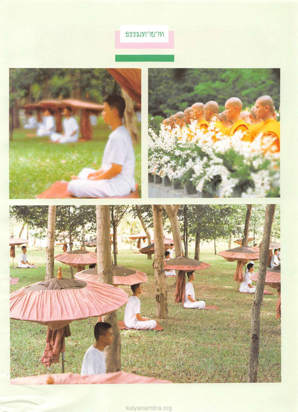 null วารสารกัลยาณมิตร ปี 2529 ฉบับที่ 1 เดือนมกราคม หน้า 85