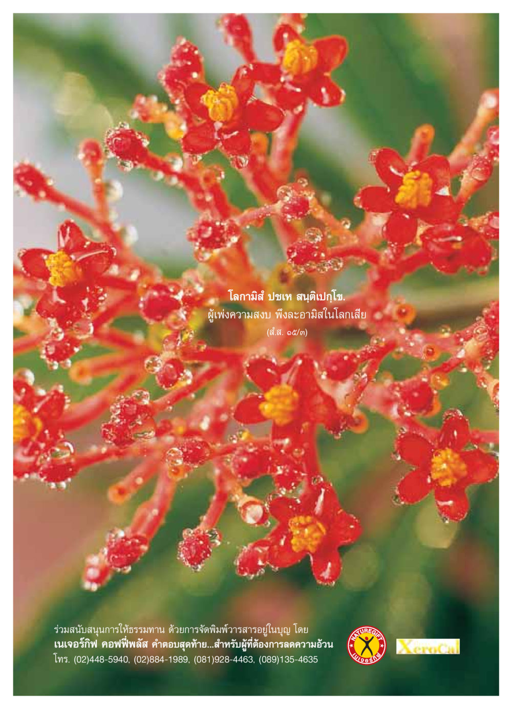 null วารสารอยู่ในบุญ ประจำเดือน พฤศจิกายน พ.ศ.2549 หน้า 19