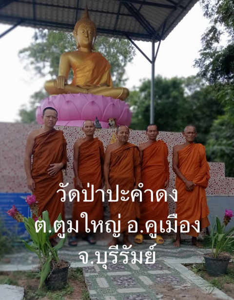 วัดป่าปะคำดง