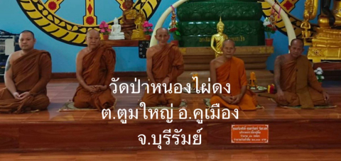 วัดป่าหนองไผ่ดง