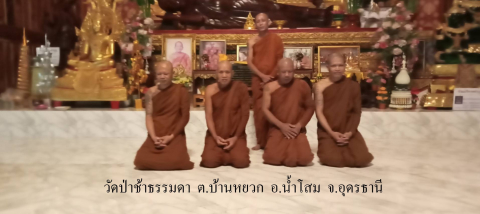 วัดป่าช้าธรรมดา