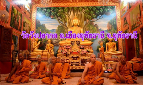 วัดวังปลากด