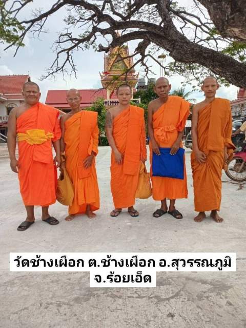 วัดช้างเผือก
