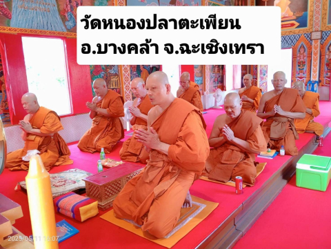 วัดหนองปลาตะเพียน