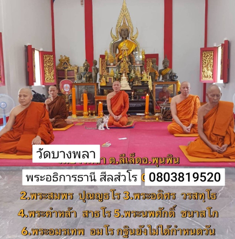 วัดบางพลา