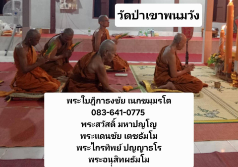 วัดป่าเขาพนมวัง