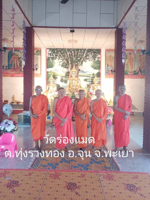 วัดร่องแมด