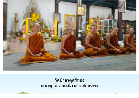 วัดป่าธาตุศรีทอง