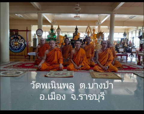 วัดพเนินพลู