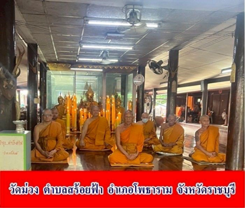 วัดม่วง