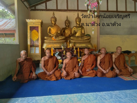 วัดป่าโคกน้อยเจริญศรี