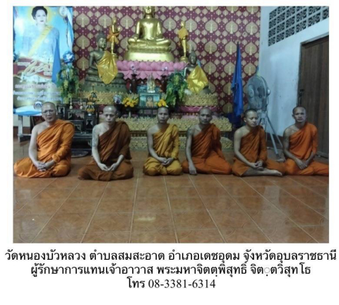 วัดหนองบัวหลวง