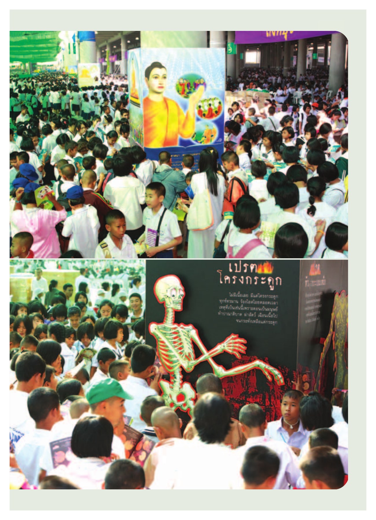 โครงกระดูก — วารสารอยู่ในบุญ ปี 2552 ฉบับที่ 75 หน้า 18 วารสารอยู่ในบุญ ปี 2552 ฉบับที่ 75 หน้า 18