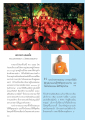ประสบการณ์การบวชพระและการอบรมธรรม