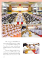 พิธีบรรพชาอุปสมบทหมู่ที่วัดพระธรรมกาย