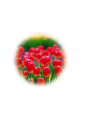 หน้า174