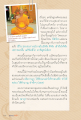 การทำสมาธิและความสุขในการนั่งดูองค์พระ
