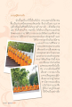 ความรู้สึกจากใจสามเณร