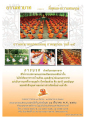 ธรรมทายาท: การบวชเพื่อการเติบโตทางจิตใจ