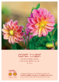 เนเจอร์กิฟ: นววิโยคณ เพื่อคุณภาพเพื่อคุณ