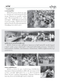 ข่าวบุญในประเทศ