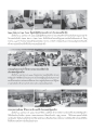 Super Kids in Cape Town และกิจกรรมสงกรานต์ที่สหรัฐอเมริกา